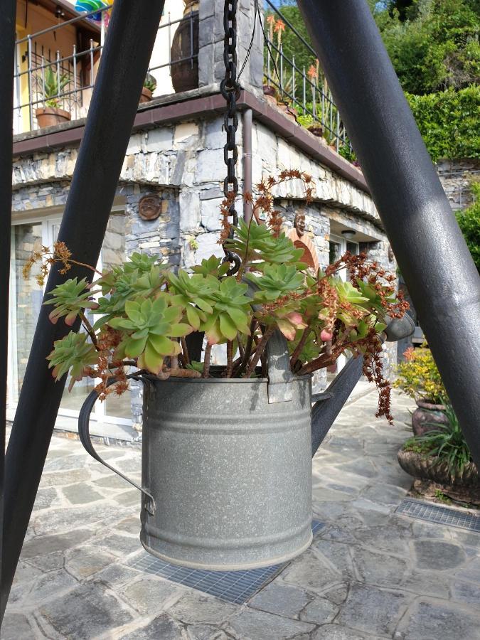 B&B Collina E Mare Camogli Bagian luar foto