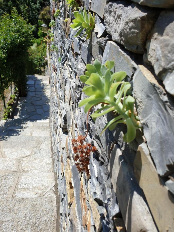 B&B Collina E Mare Camogli Bagian luar foto