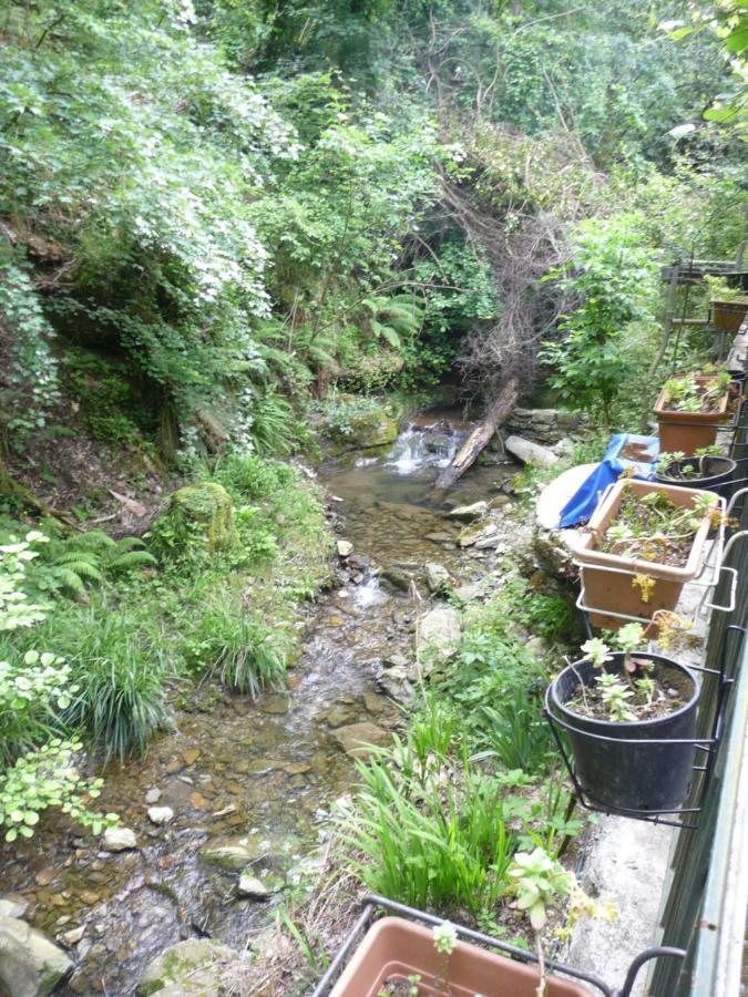 B&B Collina E Mare Camogli Bagian luar foto